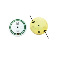 ASSORTIMENT PIED DE CADRAN