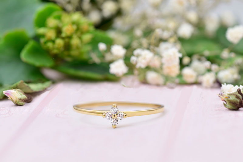 Expertise Comptoir Niçois