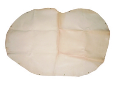 PEAU D'ETABLI - ANCIEN 401193