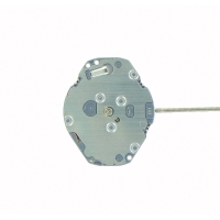 VJ 20